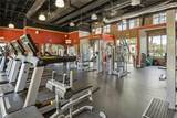 9036 Alturas St - Photo 45