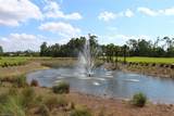 3940 Loblolly Bay Dr - Photo 1