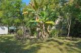 2010 Jung Blvd - Photo 30