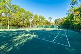 3491 County Barn Rd - Photo 23