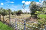 3780 12th Ave - Photo 35