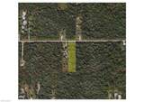 3620 30th Ave - Photo 2