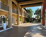 25000 Tamiami Trl - Photo 3