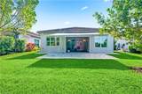 11323 Jacaranda Dr - Photo 38