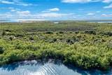 1011 Blue Hill Creek Dr - Photo 14