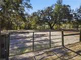 15050 Hwy 328 - Photo 44