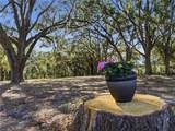15050 Hwy 328 - Photo 50