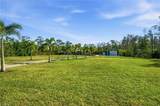 11661 Palomino Ln - Photo 47