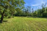 11661 Palomino Ln - Photo 48