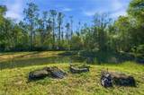 11661 Palomino Ln - Photo 49