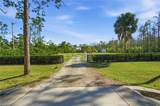 11661 Palomino Ln - Photo 7