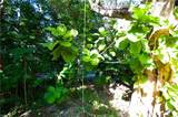 1313 Solana Rd - Photo 29