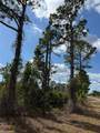 1116 Plantation Rd - Photo 4