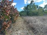 35XX Everglades Blvd - Photo 6