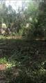2780 66th Ave - Photo 4
