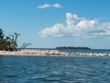 111 Newport Cay - Photo 49