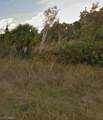 1009 Bell Blvd - Photo 1