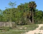 755 Rialto Pointe Dr - Photo 4