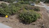 1606 11th St - Photo 2