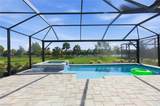 28181 Captiva Shell Loop - Photo 35