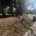 3953 Pearl St - Photo 2