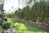 15269 Wildflower Cir - Photo 27