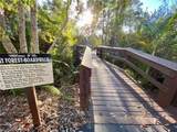 290 Naples Cove Dr - Photo 33