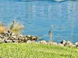 28318 Captiva Shell Loop - Photo 22