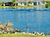28318 Captiva Shell Loop - Photo 23