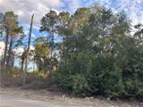 3811 4th St - Photo 3