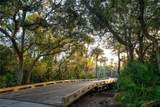 5000 Coconut Road - Photo 8