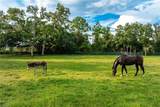 21531 River Rd - Photo 24
