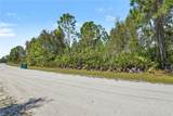 12097 Platano Dr - Photo 5