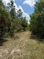 2554 62nd Ave - Photo 30