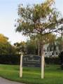 3323 Olympic Dr - Photo 2