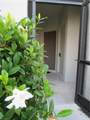 3323 Olympic Dr - Photo 4