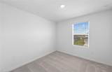 4106 Lattuca Ln - Photo 10