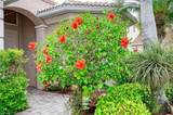 14809 Canton Ct - Photo 40