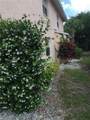 26705 Little John Ct - Photo 11