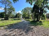 13250 Apaloosa Ln - Photo 3