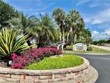 137 Wading Bird Cir - Photo 1