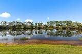 10135 Colonial Country Club Blvd - Photo 23