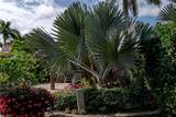 13625 Snapper Ln - Photo 18