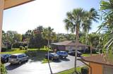 729 Palm View Dr - Photo 5