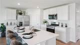 44637 Plumeria St - Photo 9