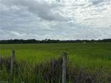 18139 Benes Roush Rd - Photo 13