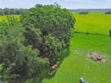 18139 Benes Roush Rd - Photo 24