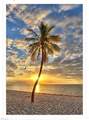 266 Barefoot Beach Blvd - Photo 50