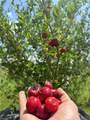 4044 62nd Ave - Photo 25