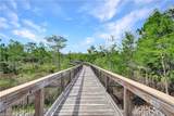7103 Lily Way - Photo 40